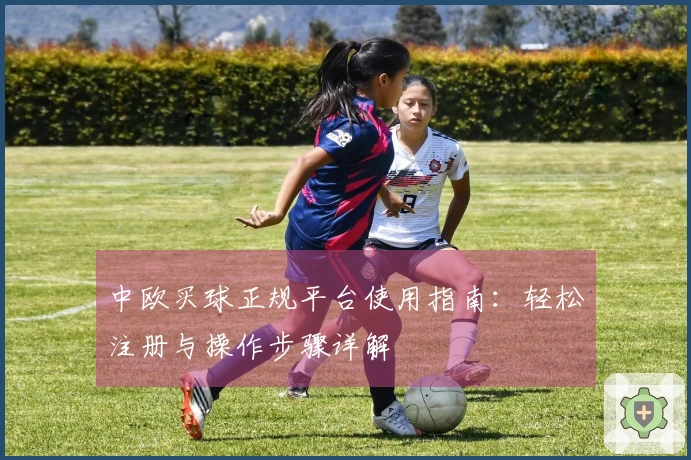 中欧买球正规平台使用指南:轻松注册与操作步骤详解