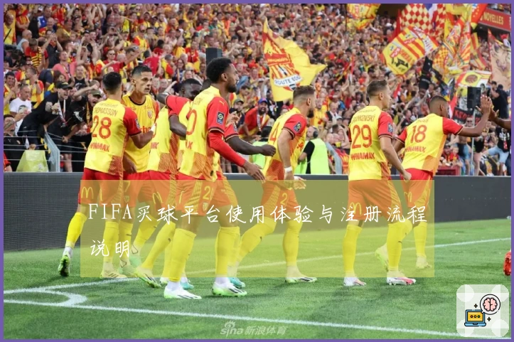 FIFA买球平台使用体验与注册流程说明