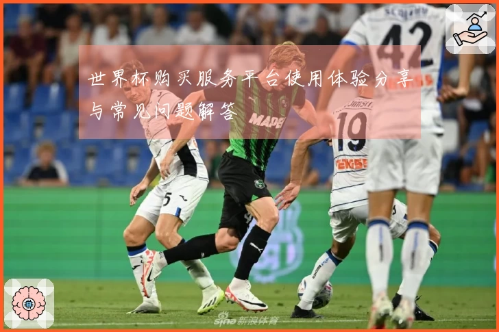 世界杯购买服务平台使用体验分享与常见问题解答