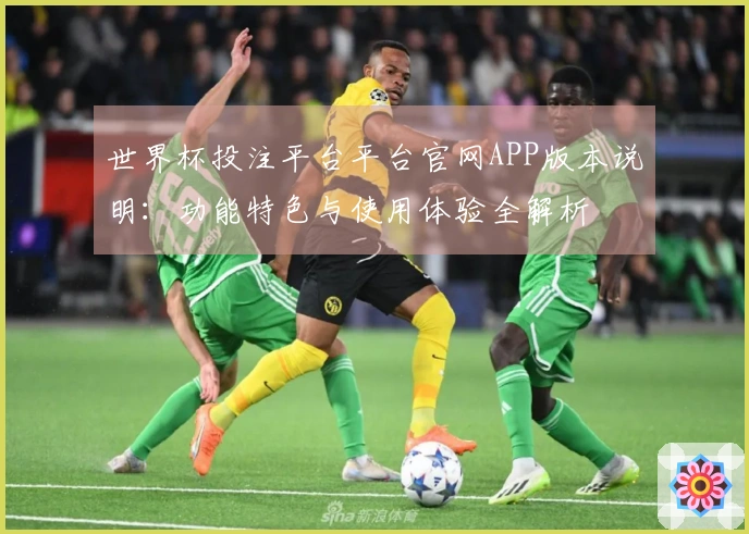 世界杯投注平台平台官网APP版本说明:功能特色与使用体验全解析