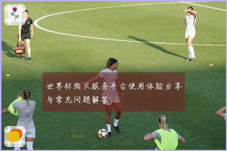 世界杯购买服务平台使用体验分享与常见问题解答