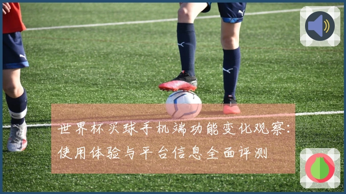 世界杯买球手机端功能变化观察:使用体验与平台信息全面评测