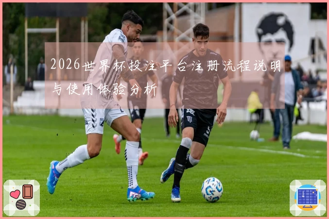 2026世界杯投注平台注册流程说明与使用体验分析
