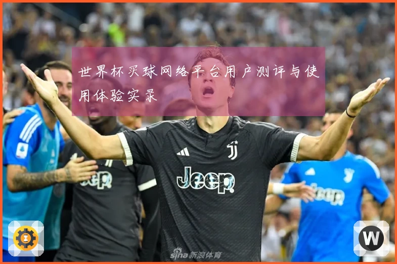 世界杯买球网络平台用户测评与使用体验实录