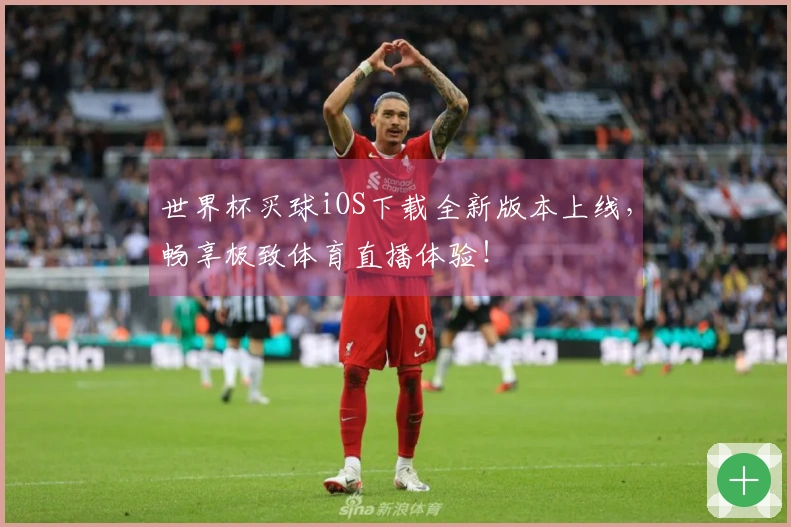 世界杯买球iOS下载全新版本上线，畅享极致体育直播体验！