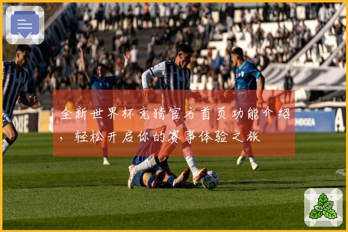 全新世界杯竞猜官方首页功能介绍，轻松开启你的赛事体验之旅