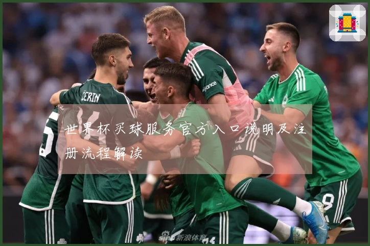 世界杯买球服务官方入口说明及注册流程解读