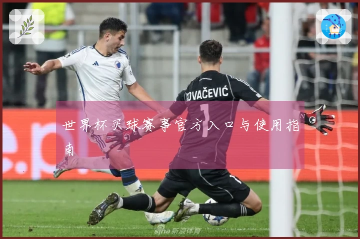 世界杯买球赛事官方入口与使用指南