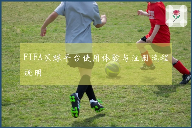 FIFA买球平台使用体验与注册流程说明