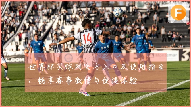 世界杯买球网官方入口及使用指南，畅享赛事激情与便捷体验