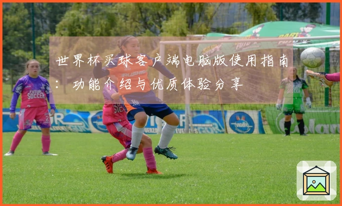 世界杯买球客户端电脑版使用指南：功能介绍与优质体验分享
