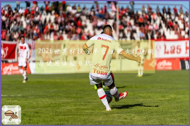 2026世界杯投注平台注册流程说明与使用体验分析