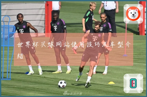 世界杯买球网站使用技巧及车型介绍