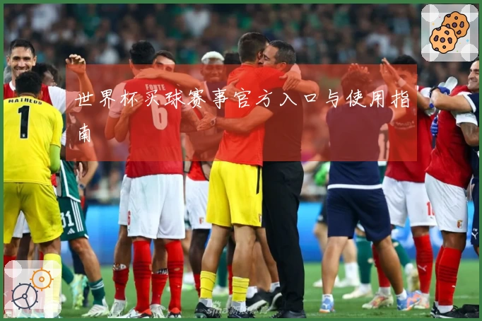 世界杯买球赛事官方入口与使用指南