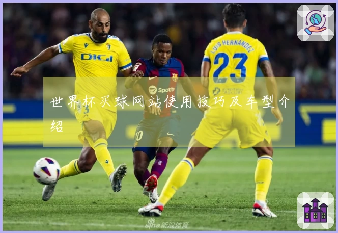 世界杯买球网站使用技巧及车型介绍