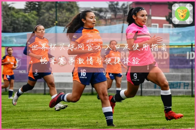 世界杯买球网官方入口及使用指南，畅享赛事激情与便捷体验