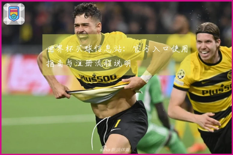 世界杯买球信息站：官方入口使用指南与注册流程说明