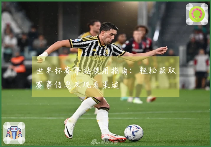 世界杯赛事站使用指南：轻松获取赛事信息及观看渠道
